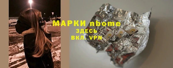 прущие грибы Бородино