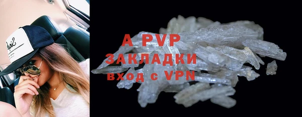 прущие грибы Бородино