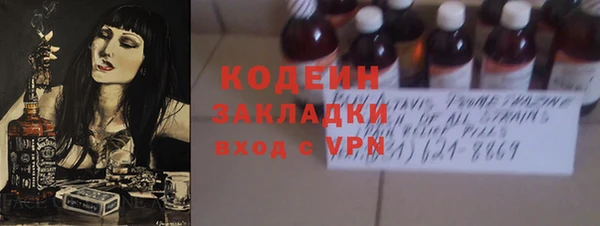 прущие грибы Бородино