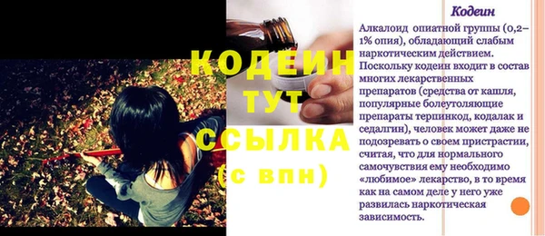 прущие грибы Бородино