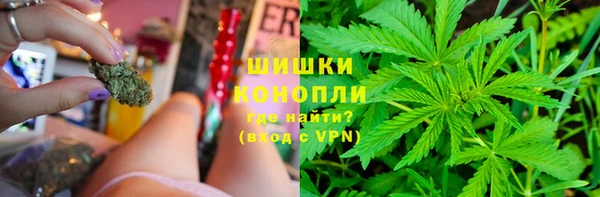 прущие грибы Бородино
